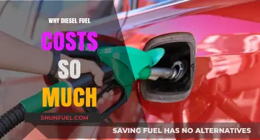 The High Cost of Diesel: Why So Expensive?