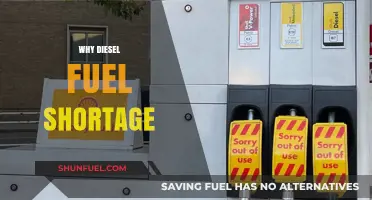 Diesel Fuel Shortage: Supply Chain Crisis