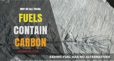 Why Fossil Fuels Are Carbon-Based: Unraveling Their Ancient Origins