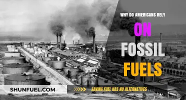 America's Fossil Fuel Dependence: Historical, Economic, and Political Factors Explained