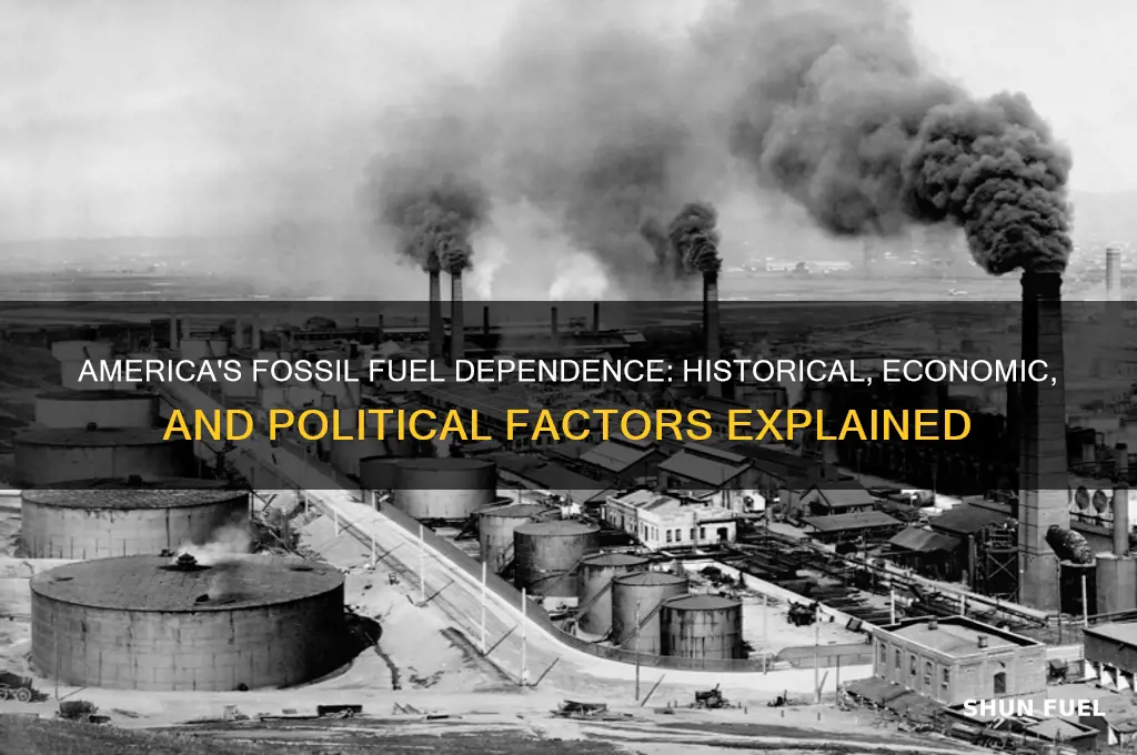 why do americans rely on fossil fuels