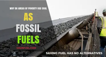 Poverty's Reliance on Coal: Economic Realities and Energy Choices