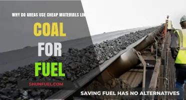 Why Coal Persists: The Economic and Practical Fuel Choice for Many