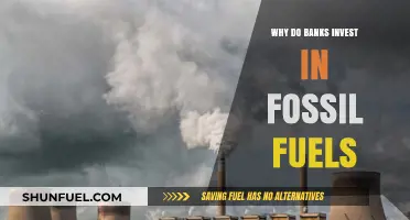 Why Banks Still Fund Fossil Fuels: Profits Over Planet?
