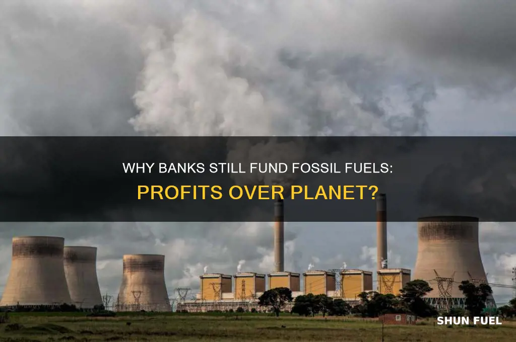 why do banks invest in fossil fuels