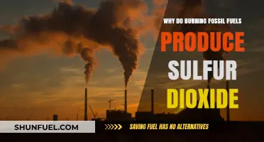 Burning Fossil Fuels: Unveiling the Sulfur Dioxide Emissions Mystery