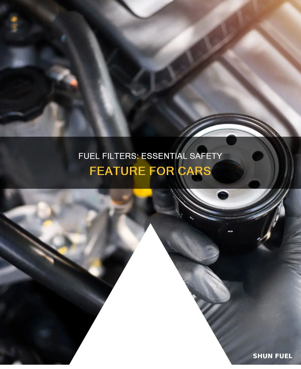 why do cars have fuel filters
