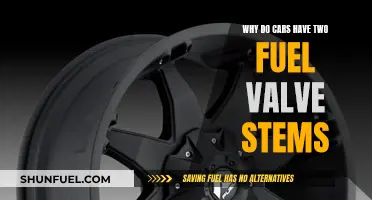 Fuel Valve Stems: Why Cars Have Two