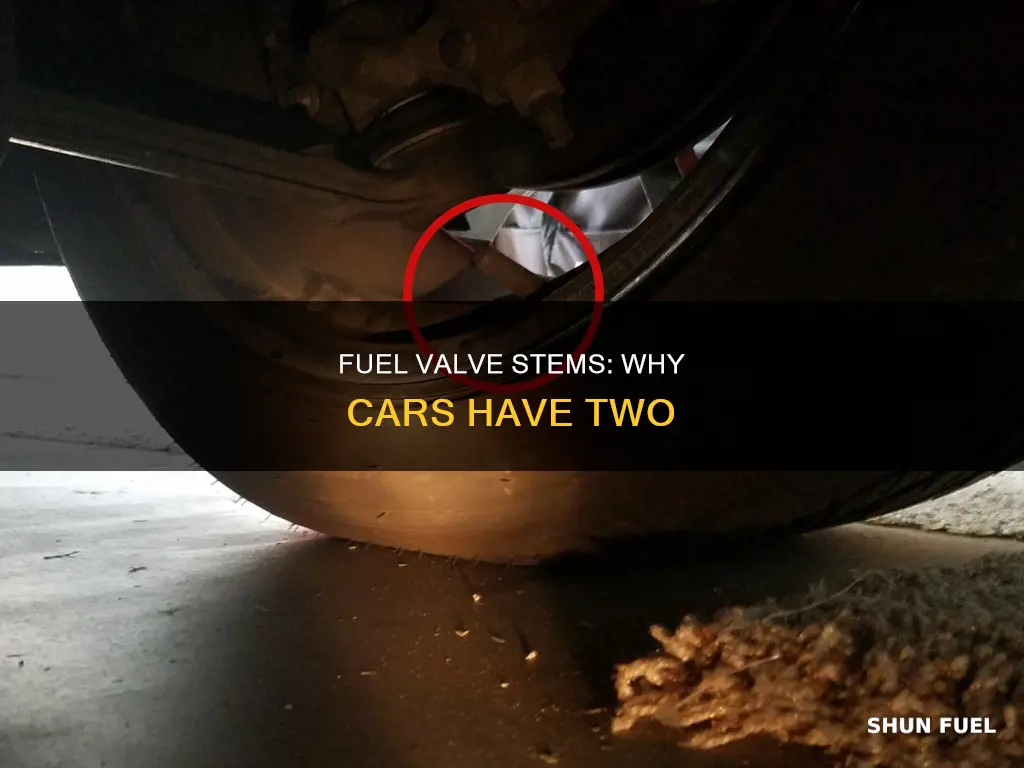 why do cars have two fuel valve stems