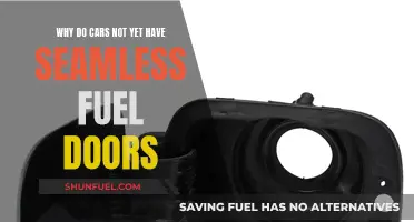 The Unseen Flaw: Fuel Doors and Their Seamless Absence