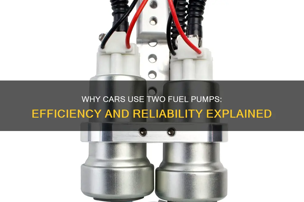 why do cars use 2 fuel pumps