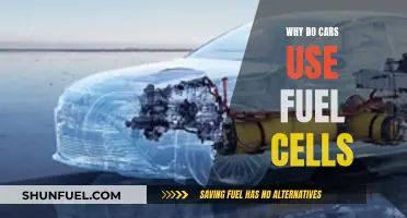 Fuel Cells: Powering Cars with a Sustainable Future