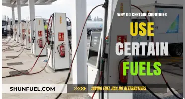 Global Fuel Choices: Factors Shaping Energy Preferences Across Nations