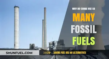 China's Fossil Fuel Reliance: Economic Growth, Energy Demand, and Challenges