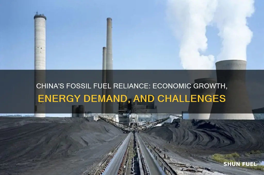 why do china use so many fossil fuels