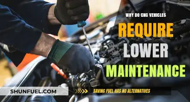 Lower Maintenance for CNG Vehicles: A Cost-Effective Advantage