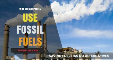 Why Companies Still Rely on Fossil Fuels: Exploring the Reasons