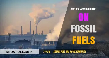 Why Nations Still Depend on Fossil Fuels: A Deep Dive