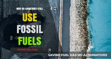 Why Nations Rely on Fossil Fuels Despite Climate Concerns