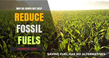 Crops and Fossil Fuels: Why Agriculture Isn't a Climate Solution
