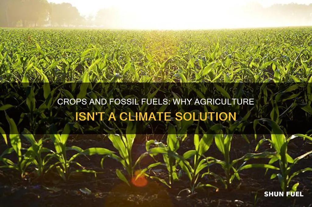 why do crops not help reduce fossil fuels