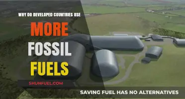 Developed Nations' Fossil Fuel Dependence: Causes and Consequences Explored