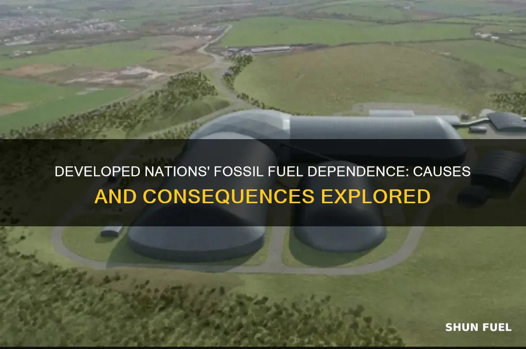 why do developed countries use more fossil fuels