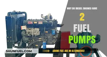 Diesel Engines: Dual Fuel Pumps for Efficiency and Power