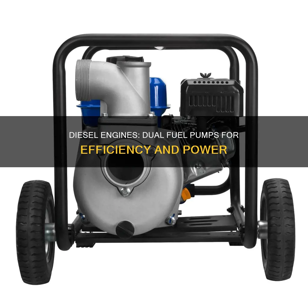 why do diesel engines have 2 fuel pumps