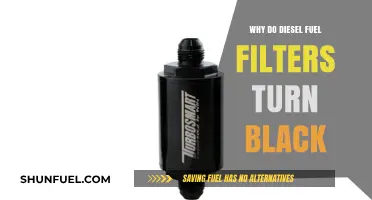 Blackening Fuel Filters: The Dark Side of Diesel