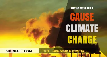 Fossil Fuels and Climate Change: Uncovering the Destructive Connection