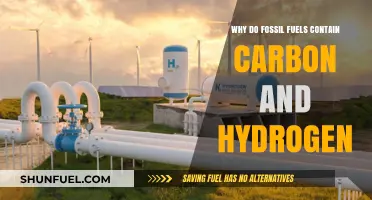 Fossil Fuels' Carbon-Hydrogen Mystery: Unraveling Ancient Energy Secrets