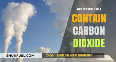 Unveiling the Carbon Connection: Why Fossil Fuels Emit CO2