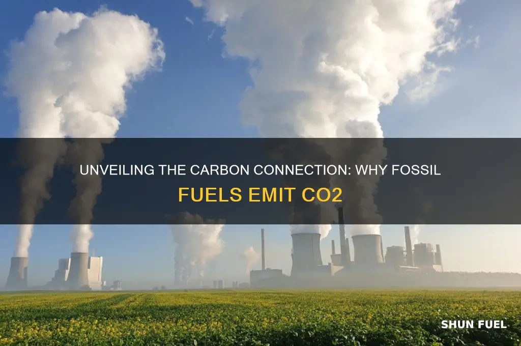 why do fossil fuels contain carbon dioxide