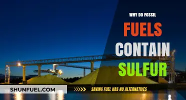 Why Fossil Fuels Contain Sulfur: Origins and Environmental Impact