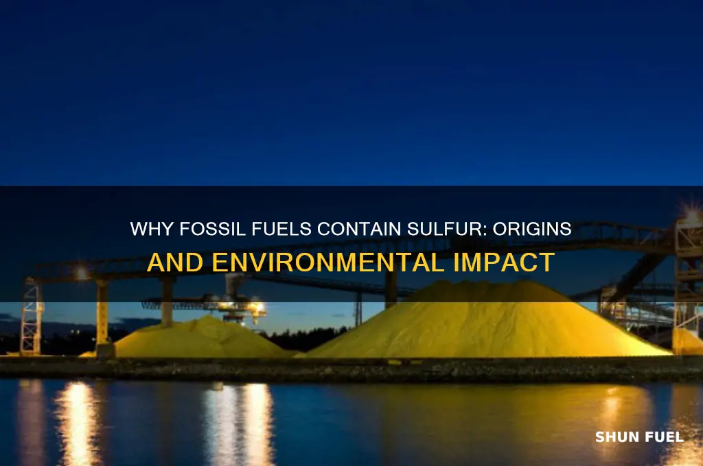 why do fossil fuels contain sulfur