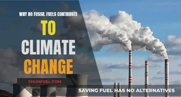 Fossil Fuels: Climate Change's Main Culprit?