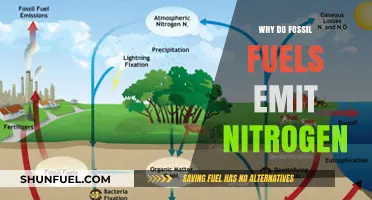 Why Fossil Fuels Release Nitrogen: Uncovering the Emissions Process