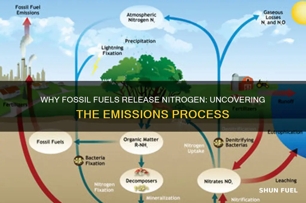 why do fossil fuels emit nitrogen