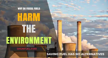 Fossil Fuels' Environmental Impact: Pollution, Climate Change, and Ecosystem Destruction