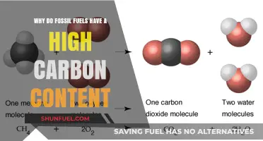 Fossil Fuels' Carbon Secret: Unveiling Their High Carbon Content