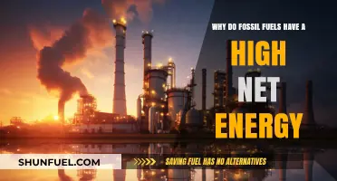 Why Fossil Fuels Dominate: Unlocking Their High Net Energy Advantage