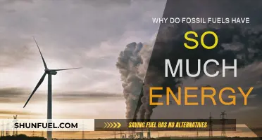 Fossil Fuels: Energy-Rich Resources of the Past
