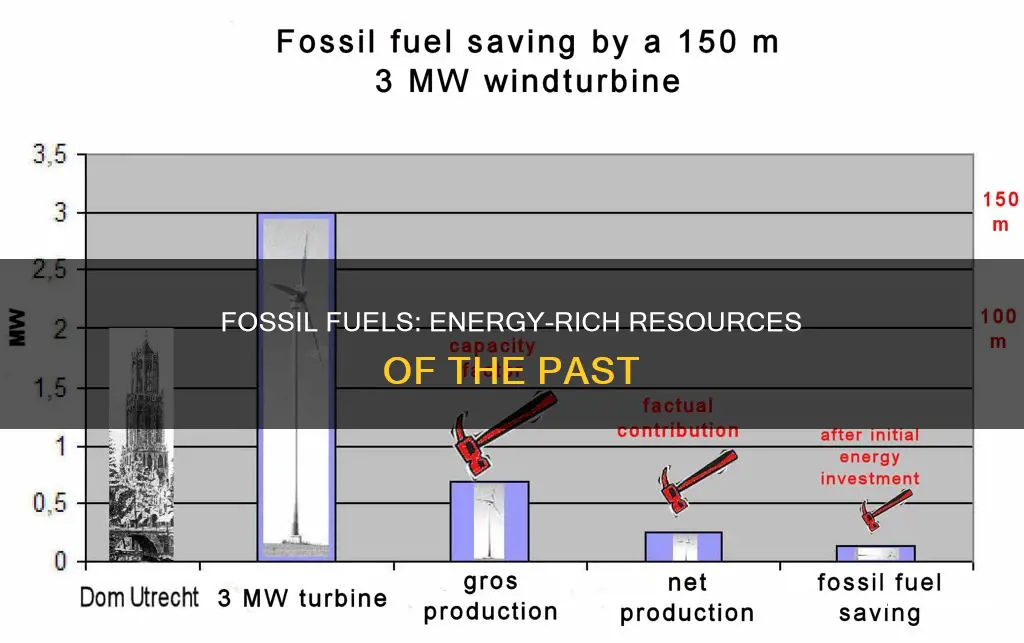 why do fossil fuels have so much energy