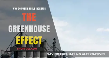 Fossil Fuels and the Greenhouse Effect: Understanding Their Impact