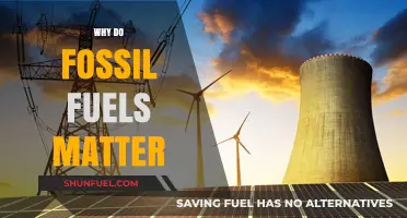 Why Fossil Fuels Still Dominate Energy and Economies Today