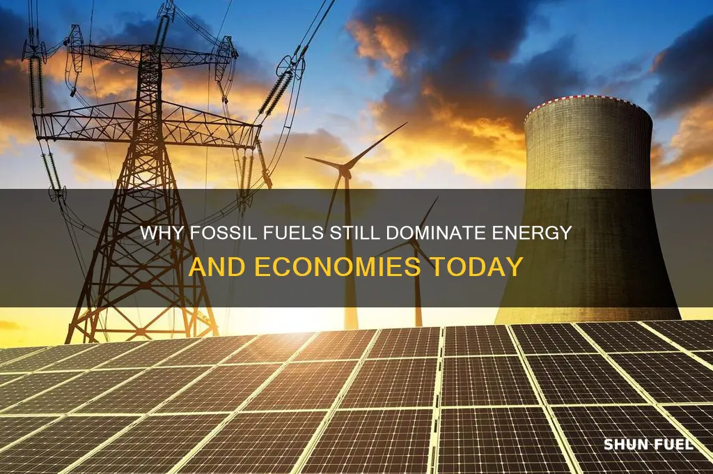 why do fossil fuels matter