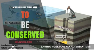 Conserving Fossil Fuels: Essential Steps for a Sustainable Future