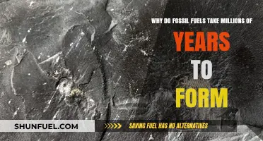 The Ancient Process: How Fossil Fuels Form Over Millennia