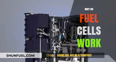 Unveiling the Science: How Fuel Cells Power Our Future
